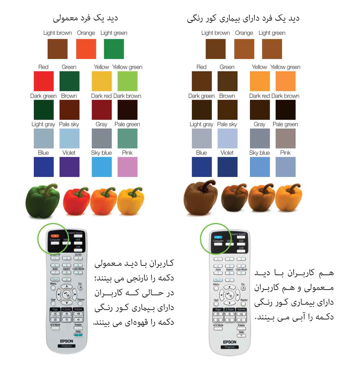 طراحی جهانی رنگ در پروژکتور EPSON-EB-X20